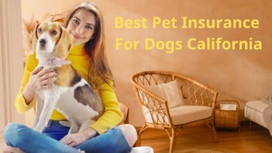 best pet insurance for dogs california