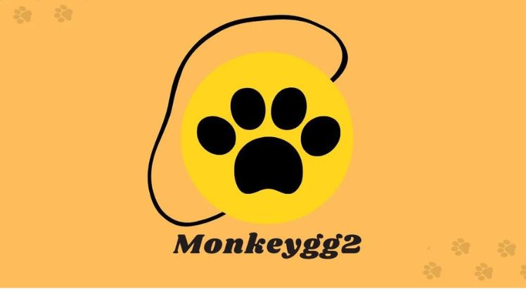 monkeygg2